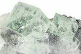 Glass-Clear, Green Cubic Fluorite Crystals - China #205557-3